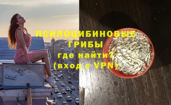 spice Надым