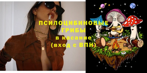 spice Надым