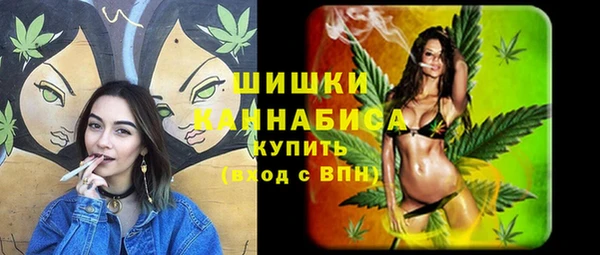 spice Надым