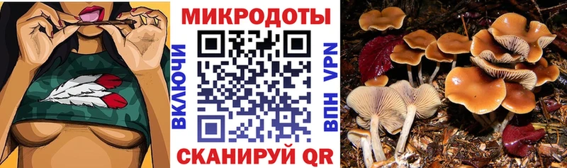 Галлюциногенные грибы Cubensis  Топки 
