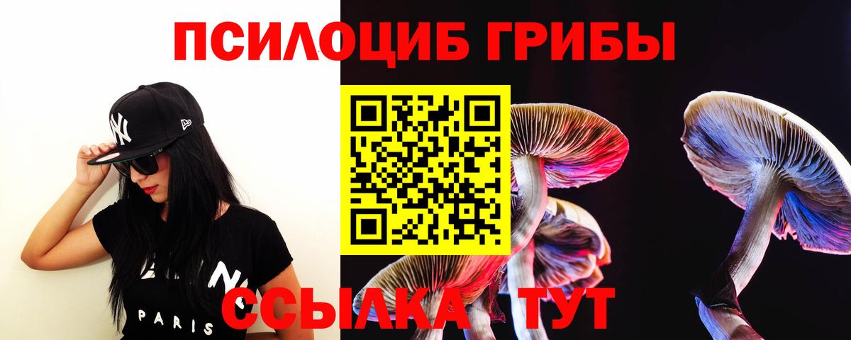 Галлюциногенные грибы GOLDEN TEACHER Топки