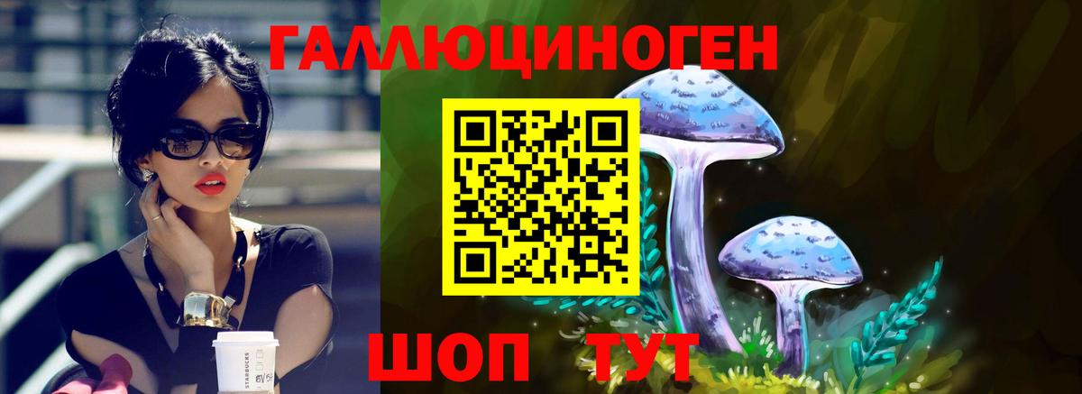 Псилоцибиновые грибы MAGIC MUSHROOMS Топки